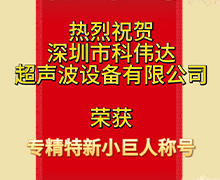 绿巨人视频社区：荣获深圳市第五批专精特新“小巨人”企业荣誉称号